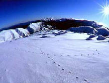 Snowy
                    Mountains